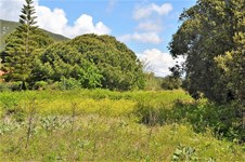 Property 37267 photo 7