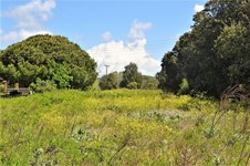 Property 37267 photo 8