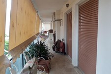 Property 37286 photo 5