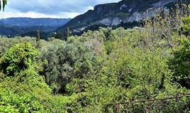 Land 10000 m² in Corfu
