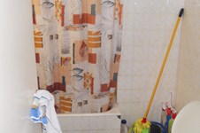 Property 373 photo 5