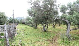 Land 6150 m² in Crete