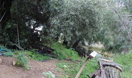 Парцел 540 m² на Крит