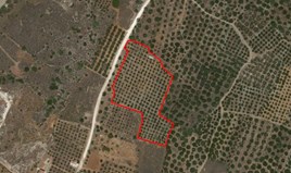Парцел 11000 m² на Крит