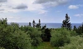 Land 4205 m² in Crete