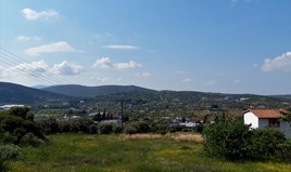 თაუნჰაუსი 160 m² ატიკაში
