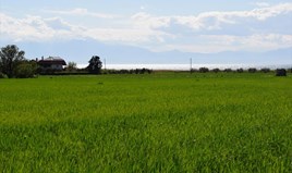հողատարածք 27000 m²  քաղաքամերձ Սալոնիկում