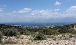 Парцел 7000 m² на Крит