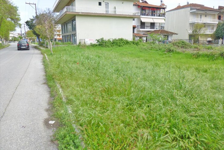 Realty photo 1