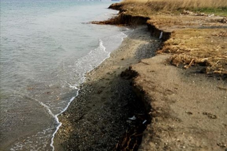 Realty photo 1