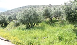 Земельна ділянка 6890 m² на Криті