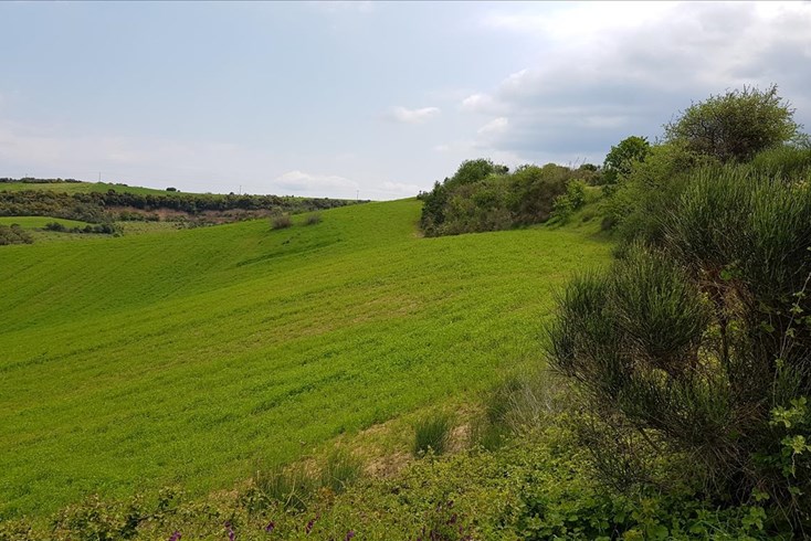 Realty photo 2