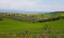 Land 18000 m² in Athos, Chalkidiki