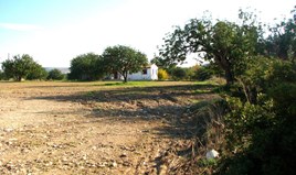 Land 14000 m² in Limassol