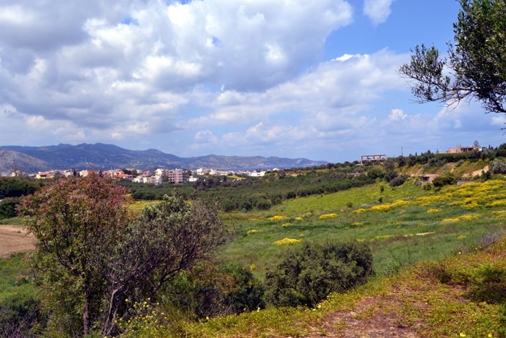 Realty photo 1