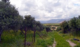 Land 4500 m² auf Kreta