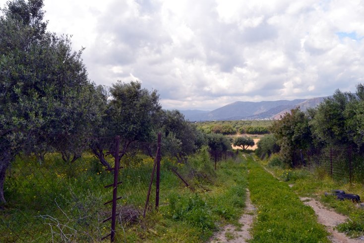 Realty photo 1