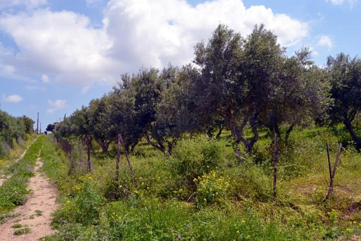 Realty photo 2