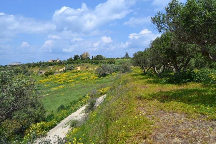 Realty photo 3