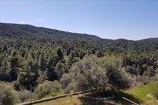 Property 37611 photo 33