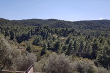 Property 37611 photo 32