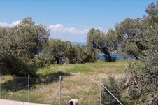 Property 37611 photo 3