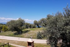 Property 37611 photo 4