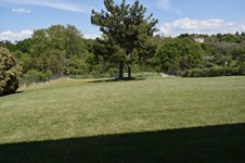 Property 37667 photo 6