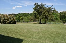 Property 37667 photo 5