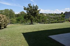 Property 37667 photo 7