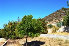 Property 37675 photo 4