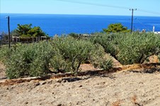 Property 37675 photo 8