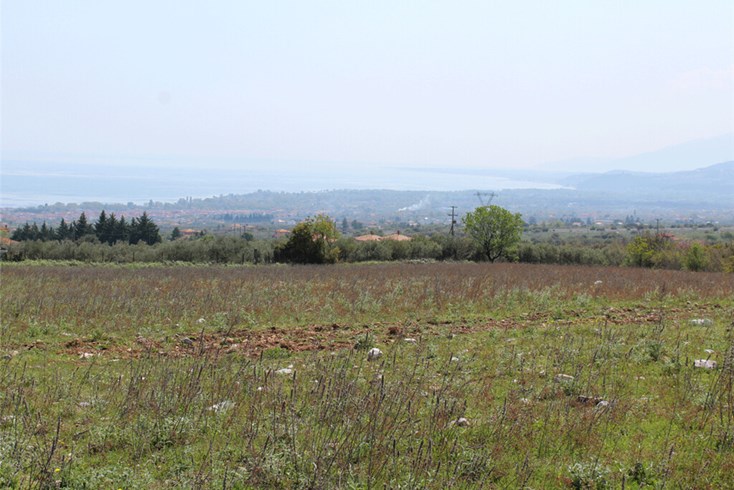 Realty photo 1