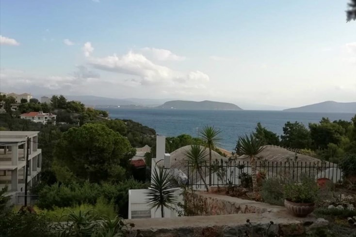 Realty photo 1