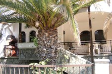 Property 3771 photo 2