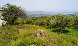 Парцел 2900 m² на Крит