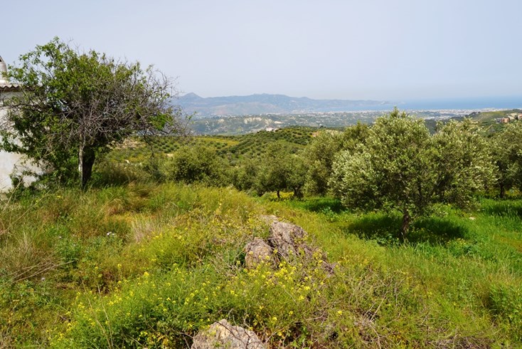 Realty photo 1