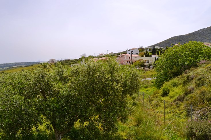 Realty photo 3