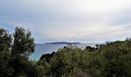 Land 5000 m² in Corfu