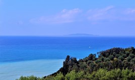 Land 6200 m² auf Korfu