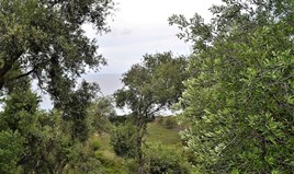 հողատարածք 5000 m² Կորֆու կղզում