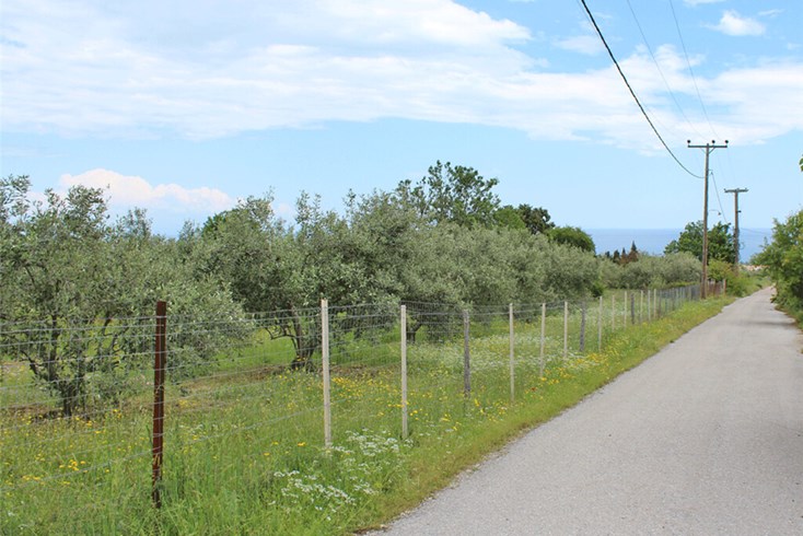 Realty photo 1