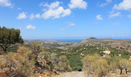 Land 12600 m² in Crete