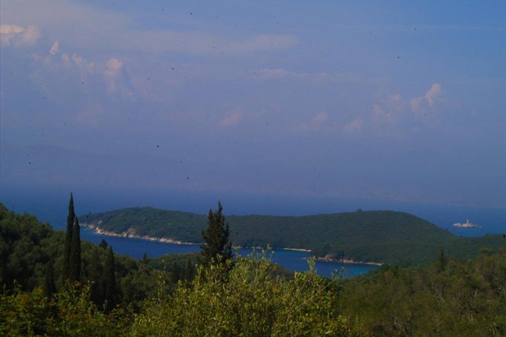 Realty photo 3