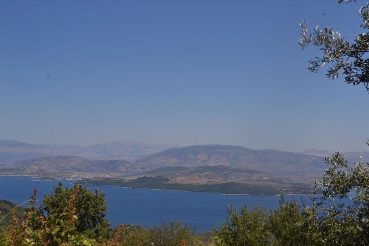 Realty photo 2