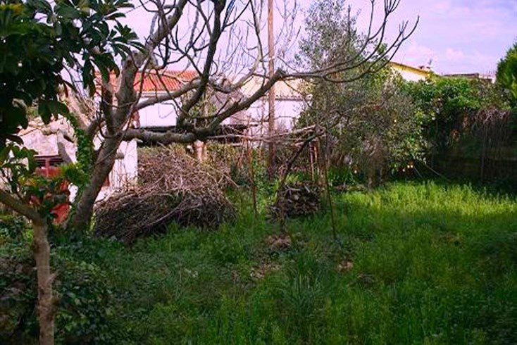 Realty photo 2