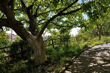 Property 37910 photo 6