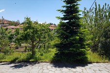 Property 37910 photo 29