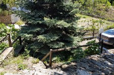 Property 37910 photo 30