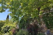 Property 37910 photo 32